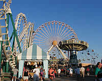 Wildwood